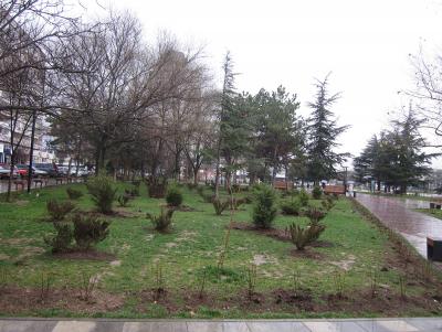 Прикрепленное изображение: сквер.Москольцо.8.12.21..JPG